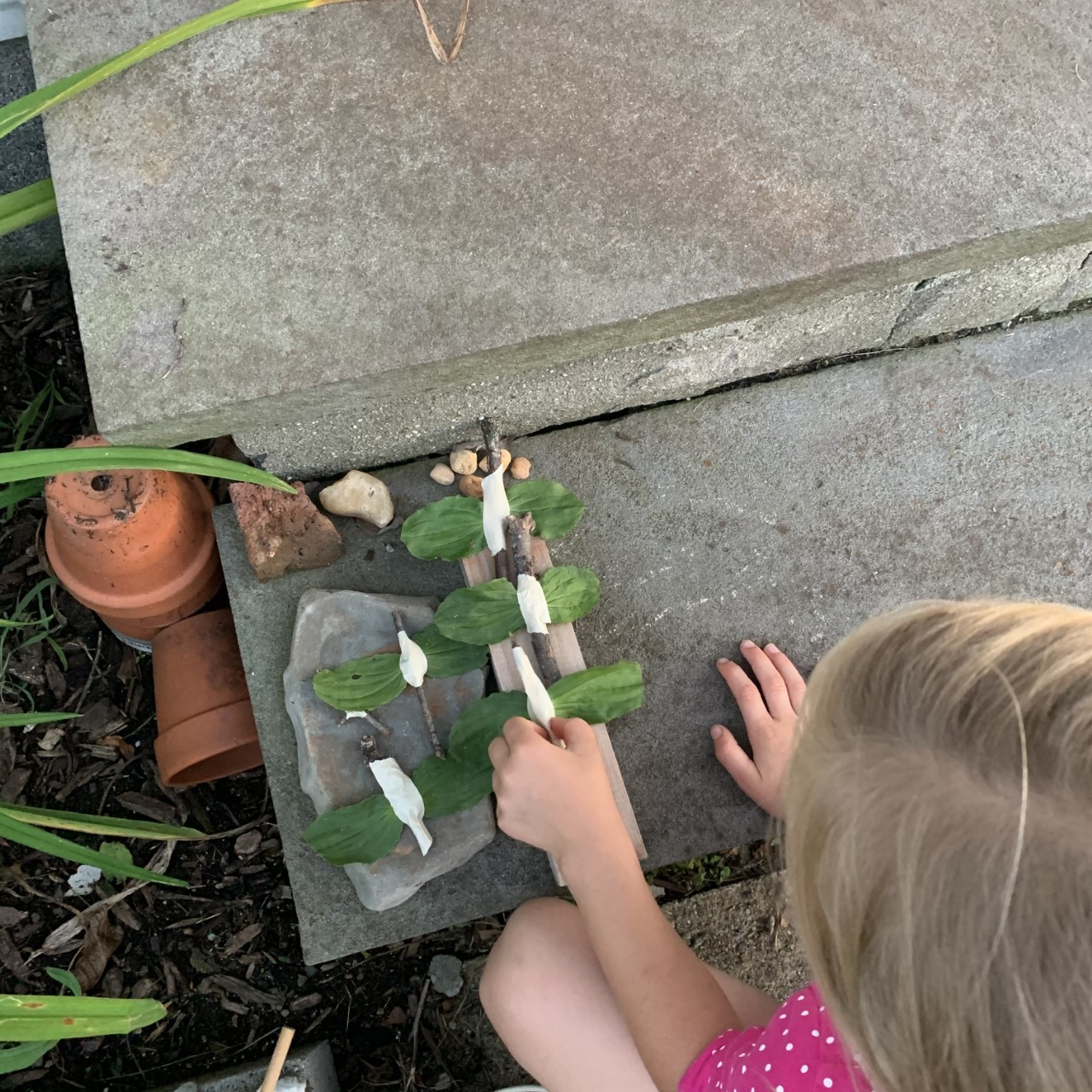 Using Nature to Inspire Deeper Learning in Early Childhood