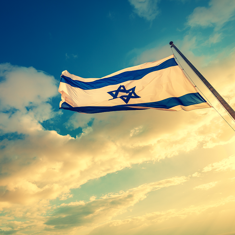 Israels Secret Weapon Brett Schulman Explains All - ksfu7uc