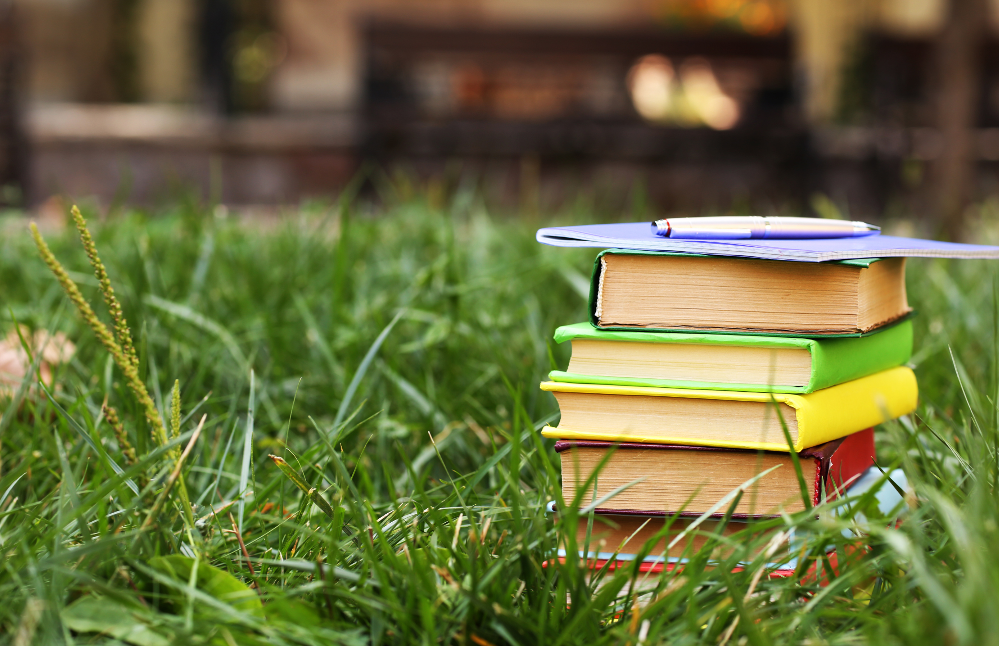 Stack of books on grass