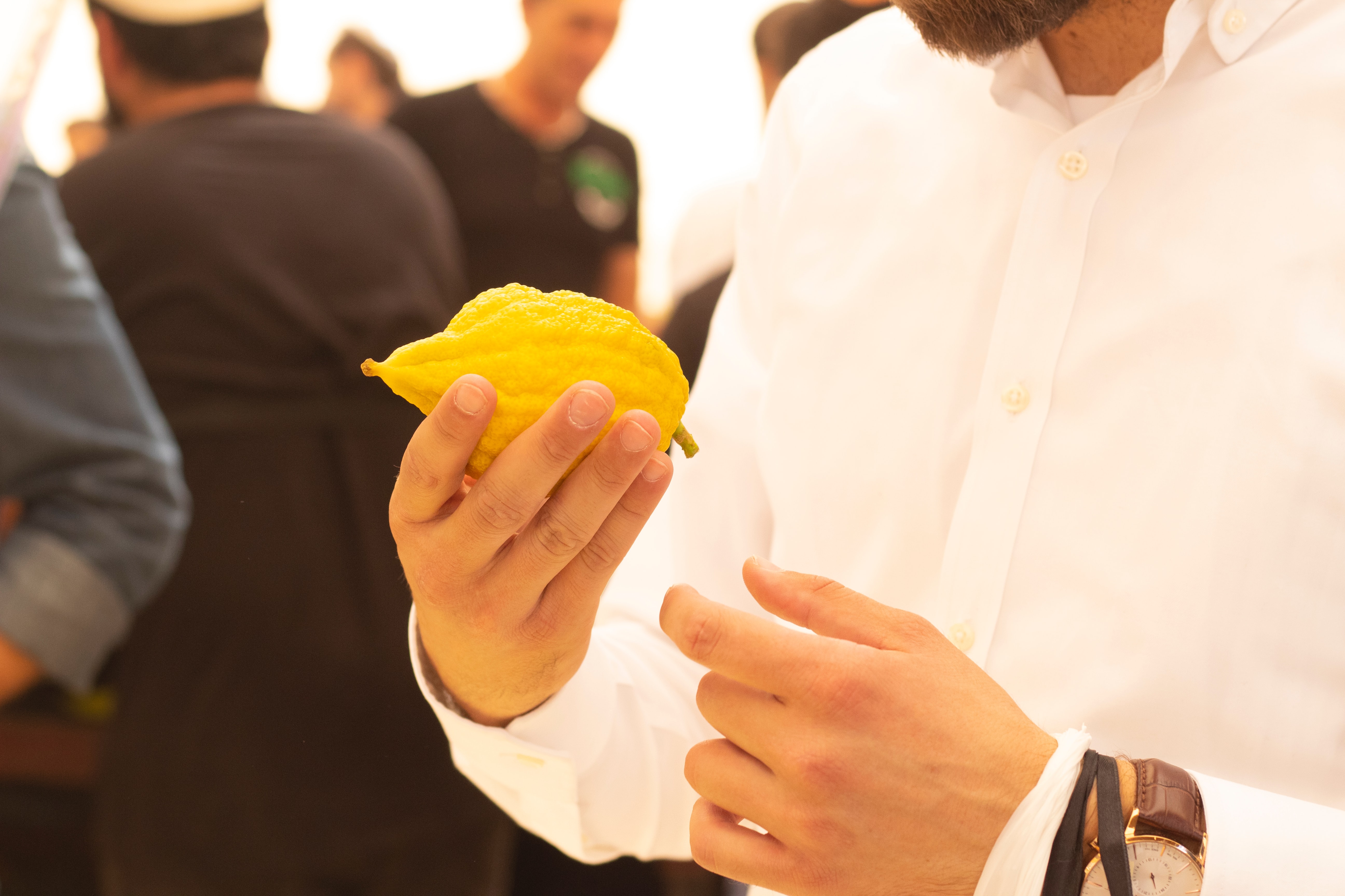 Person holding Etrog