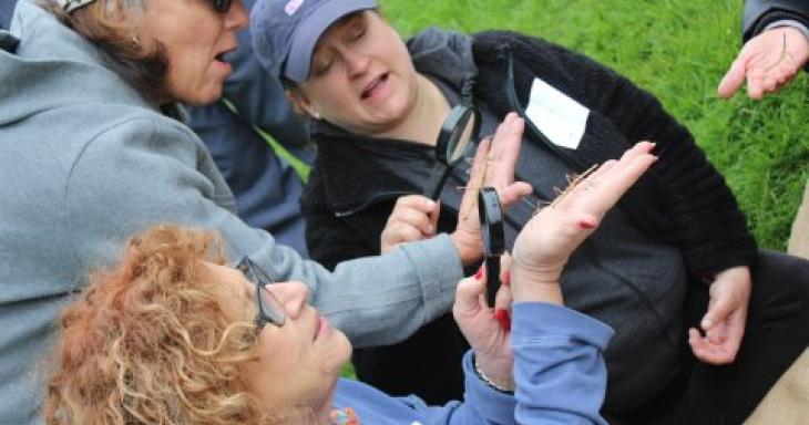 Teachers exploring nature based learning