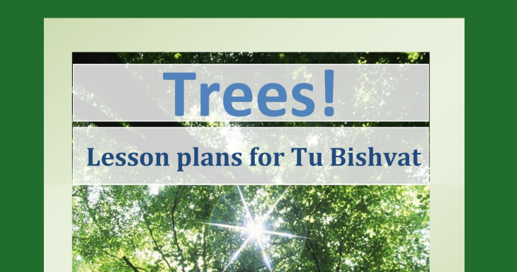 Trees! lesson plan preview