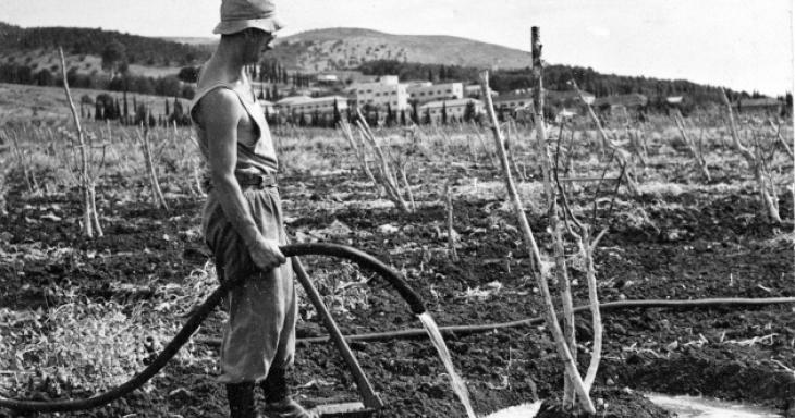 Man Watering Plants on Kibbutz