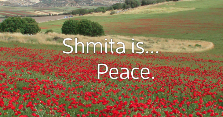 Shmita