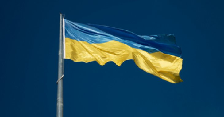 Ukrainian Flag