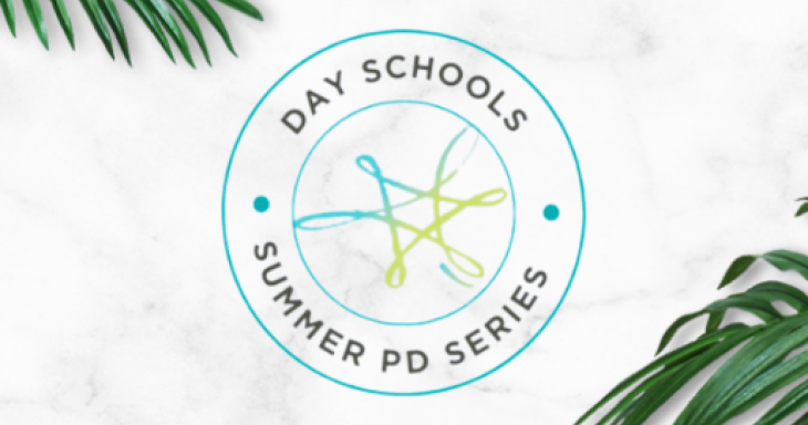Day schools summer PD logo on marble background with palm fronds