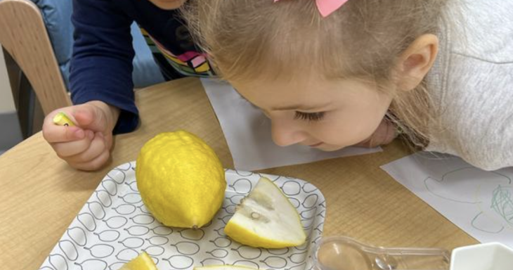 Child looking at lemon