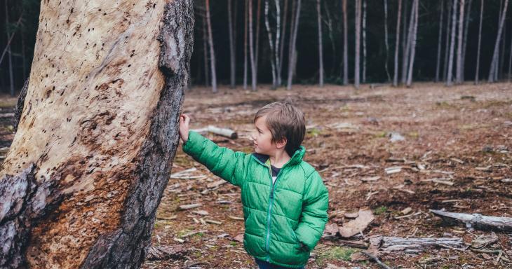 Child with tree