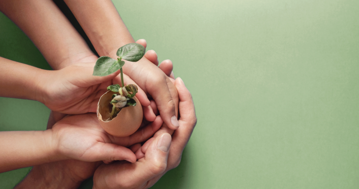Three peoples' hands cradle a sapling growing out of an eggshell, against a green background.