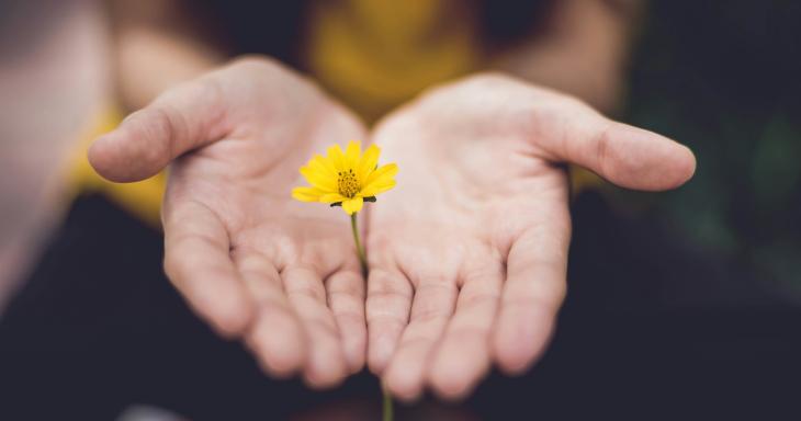 Hand holding yellow flower
