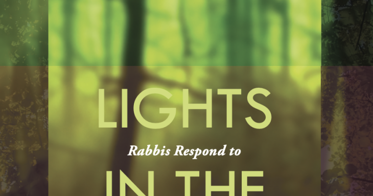 The cover of "Lights in the Forest" contains forest imagery with a lantern hanging from above.