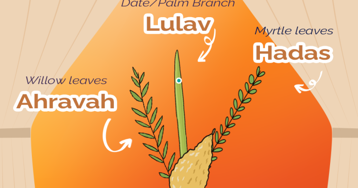 Sukkot Activity Sheet