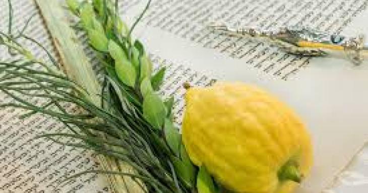 Torah, Lulav, Etrog and Yad