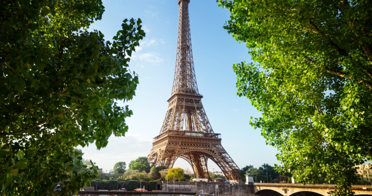 A view of the Eiffel Tower in between two trees