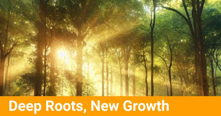 Deep Roots, New Growth