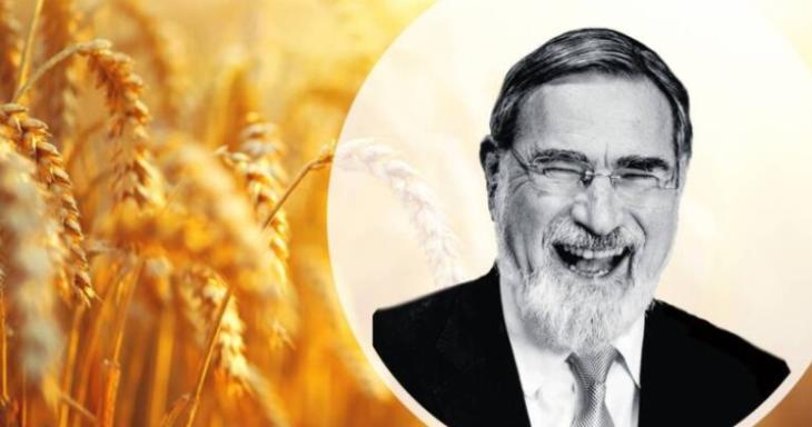 Rabbi Sacks: Shavuot