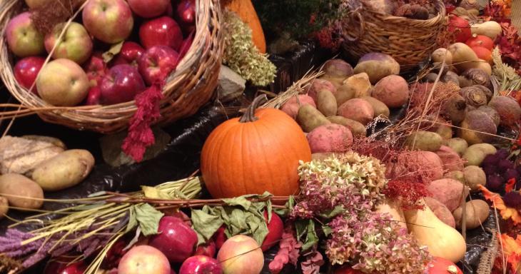 Pile of pumpkins, apples, gourds, sweet potatoes, chrysanthemums 
