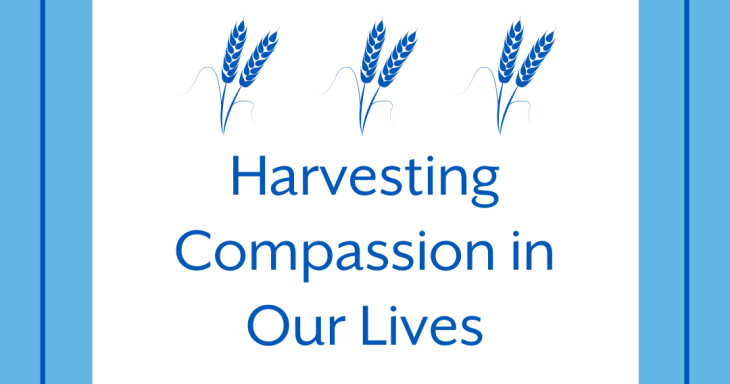 harvesting compassion in our lives
