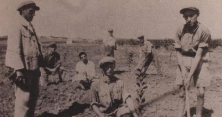 Israel's First Tu B'Shevat Tree Planting