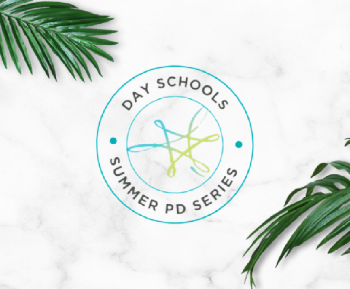 Day schools summer PD logo on marble background with palm fronds