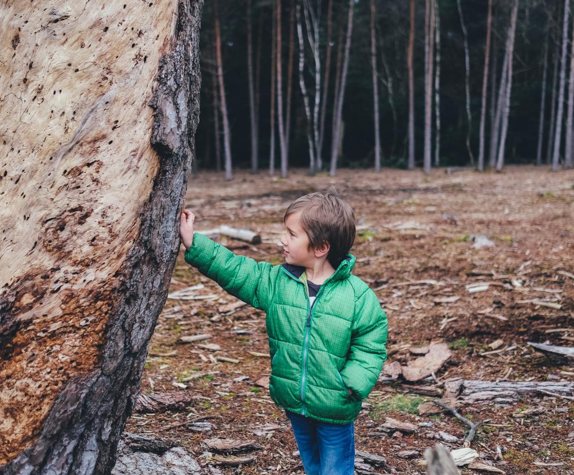 Child with tree
