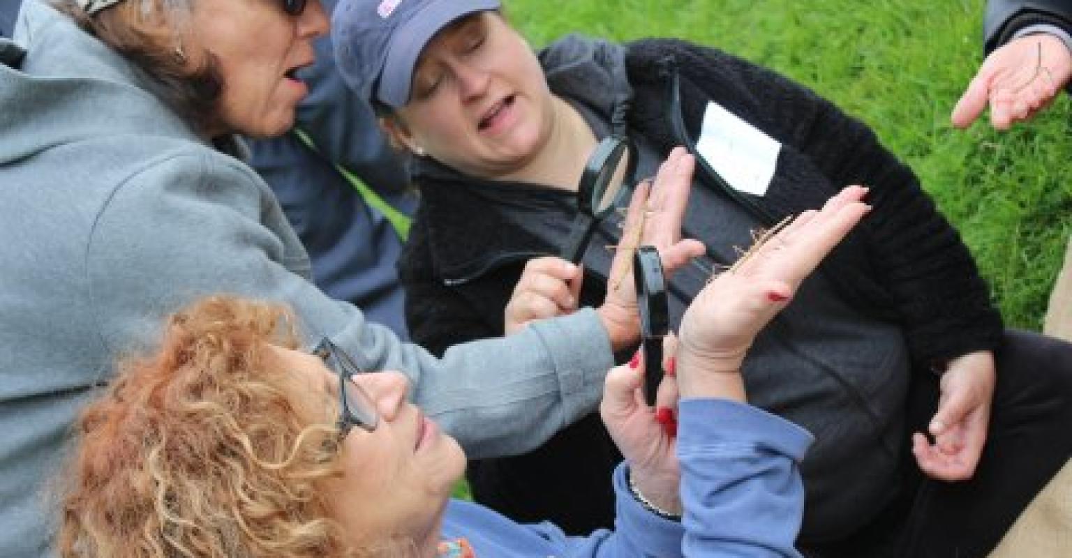 Teachers exploring nature based learning