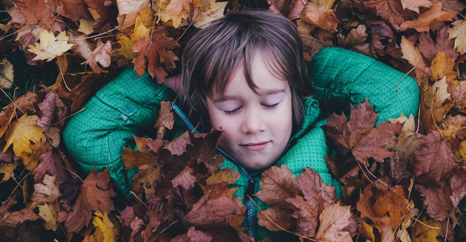 Prisma Pal meditations for kids