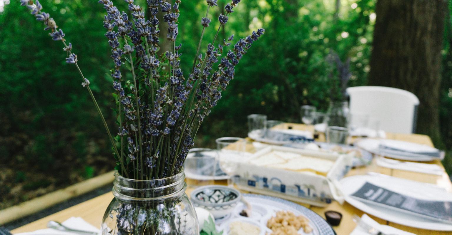 Pesach image