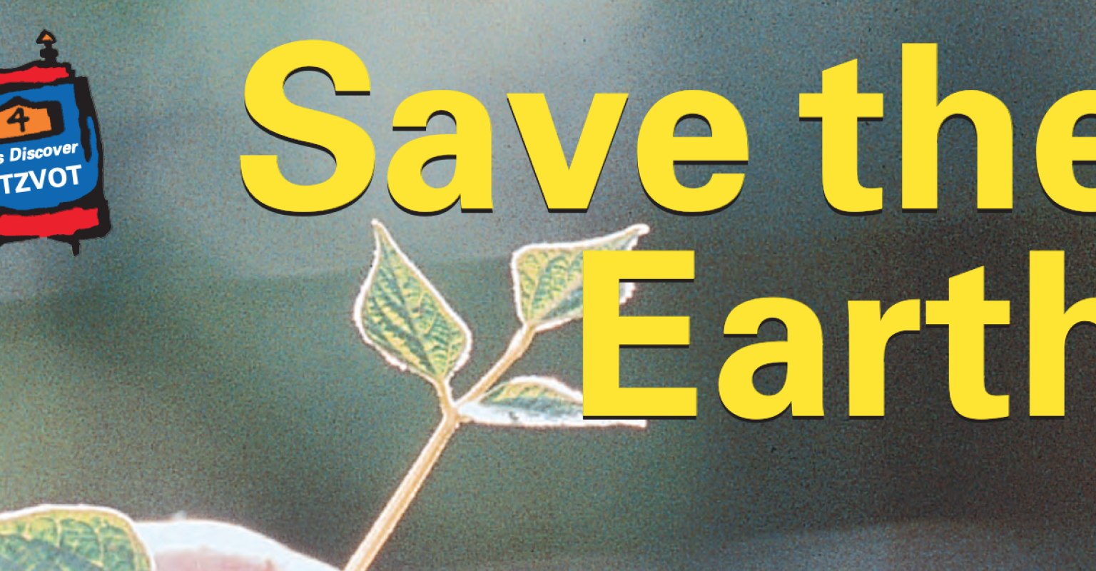 Save the Earth written over plant
