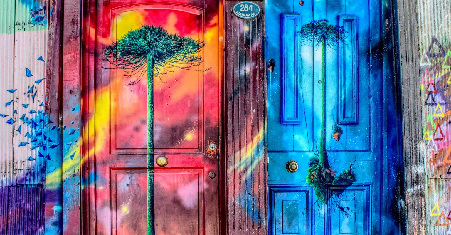 Photo by Luis Alfonso Orellana (Unsplash)