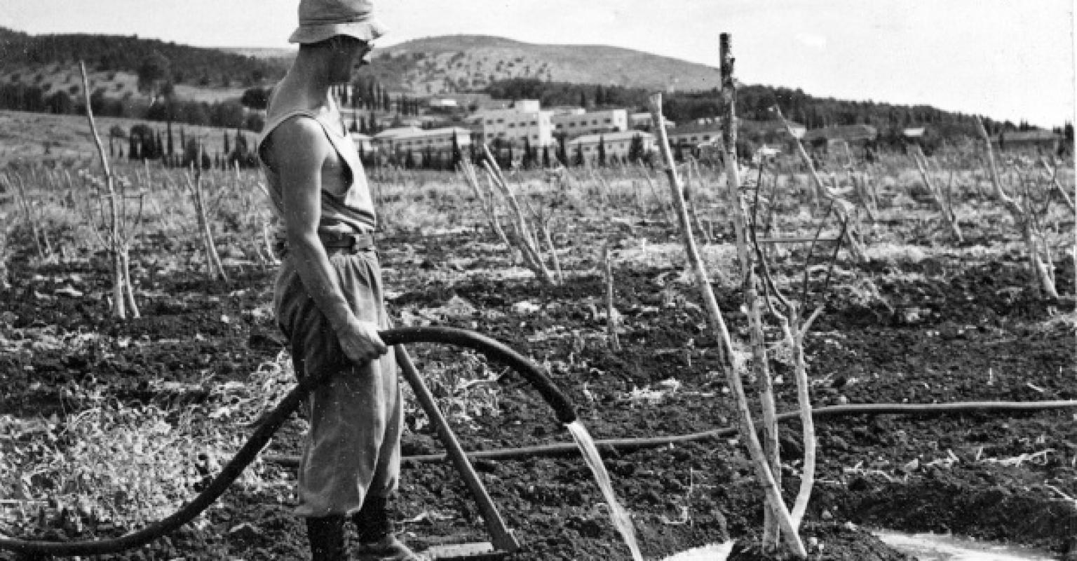 Man Watering Plants on Kibbutz