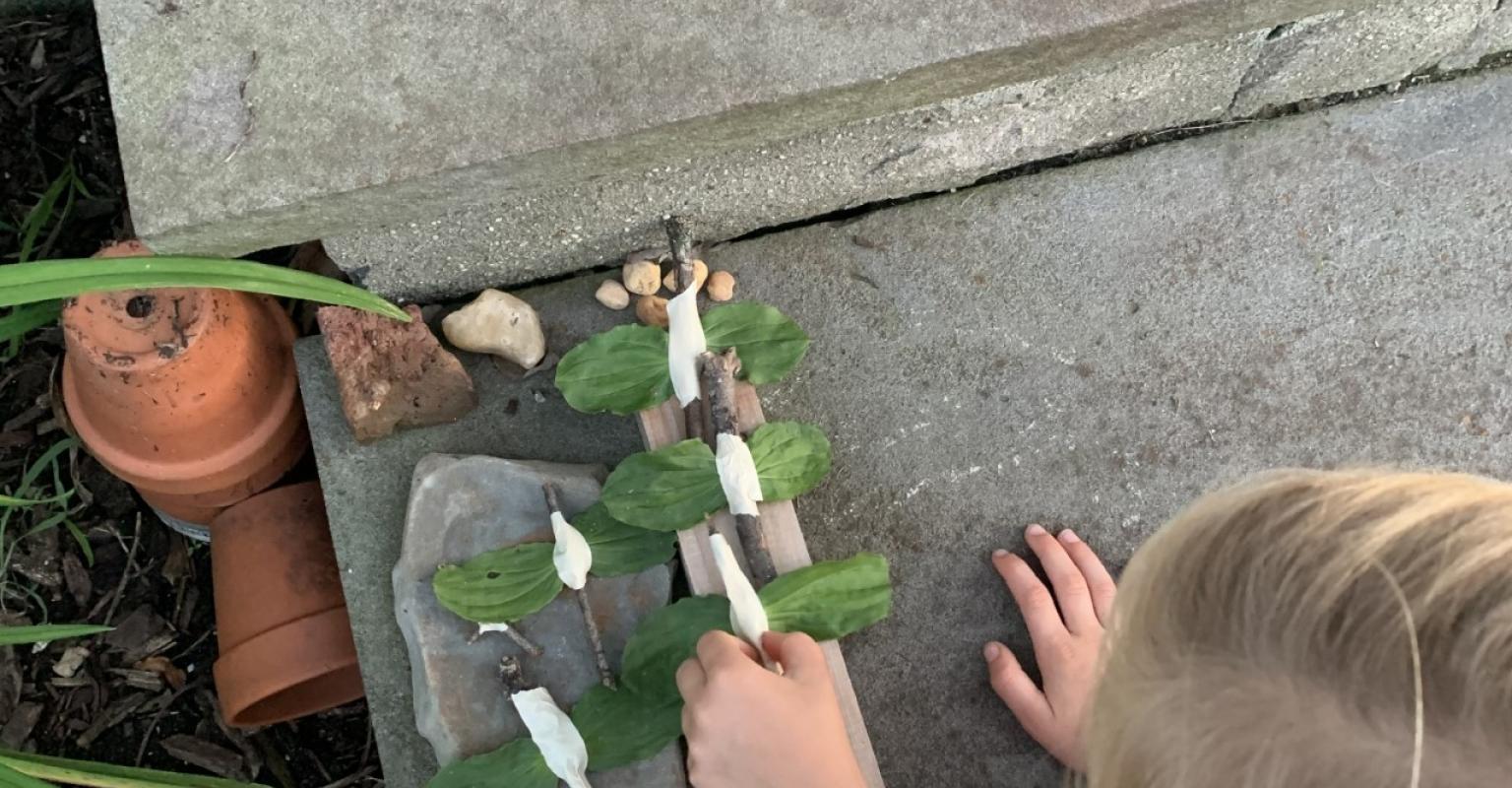 Using Nature to Inspire Deeper Learning in Early Childhood 