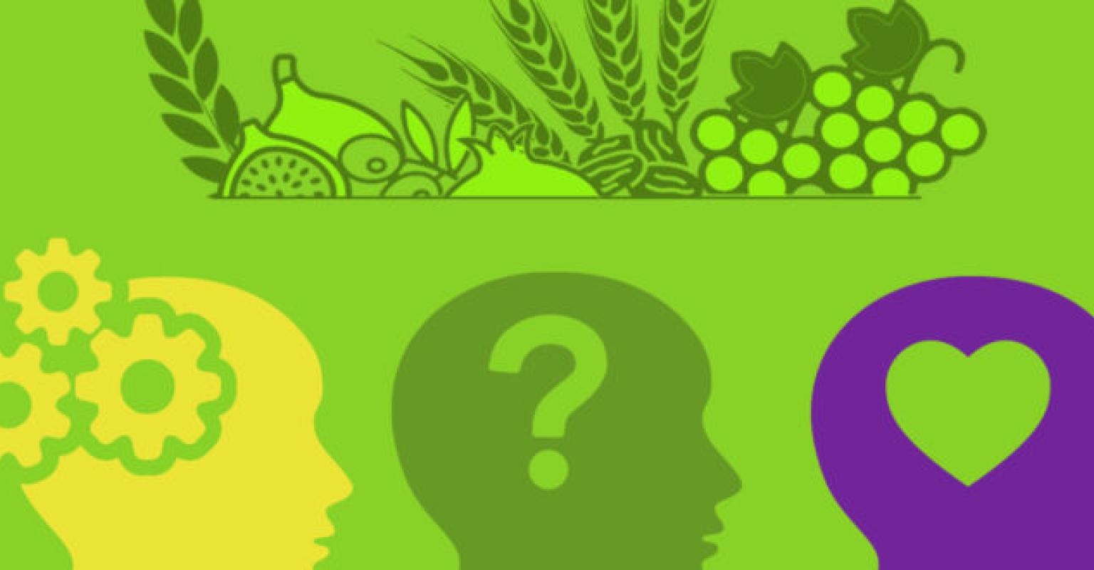 Shavuot multiple intelligences cover