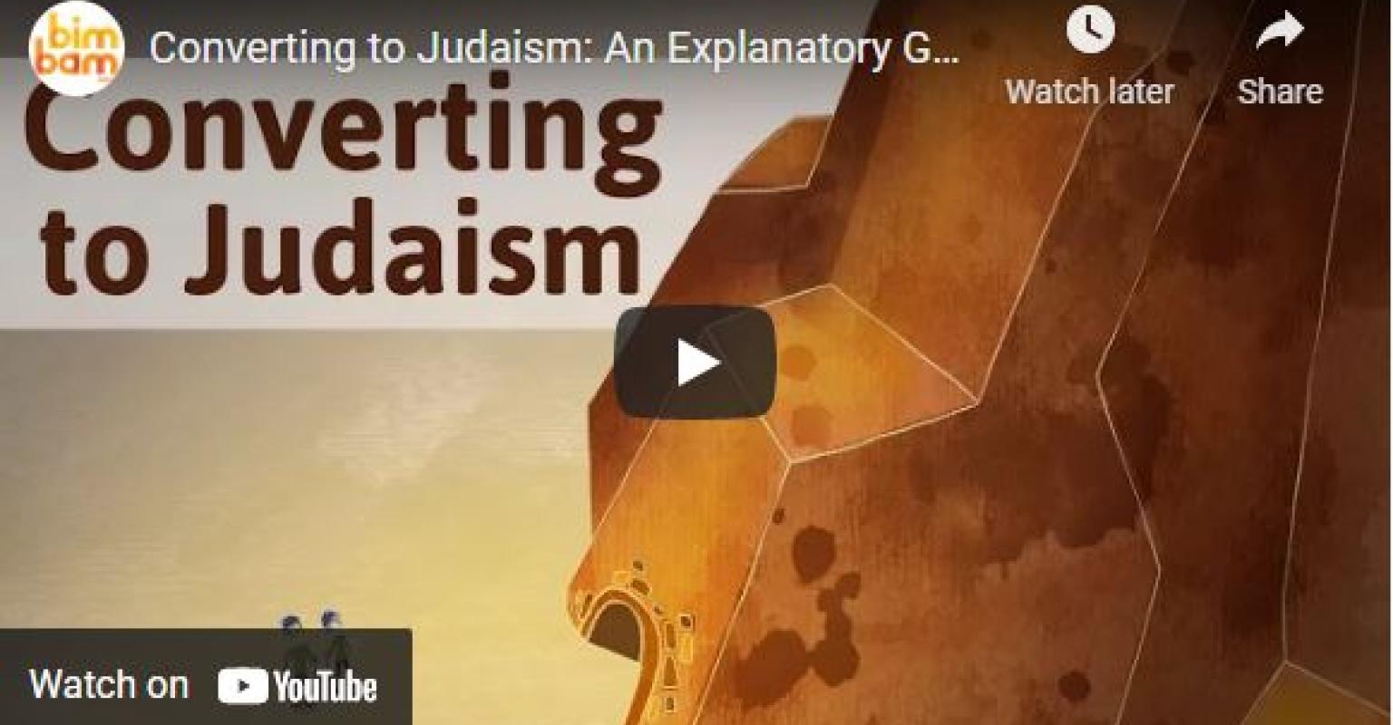 Bimbam Conversion Video