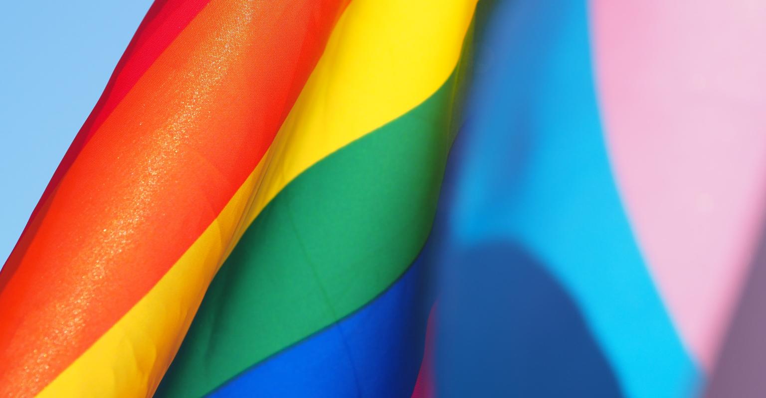 A gay pride flag and a trans pride flag