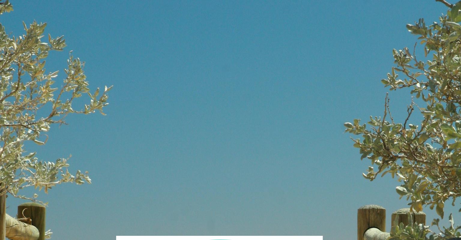 Day Schools Summer PD Series Logo against beach background