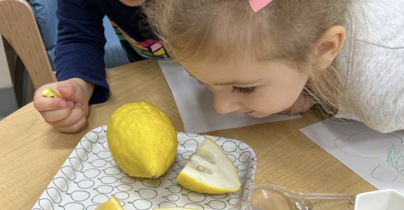 child looking at lemon