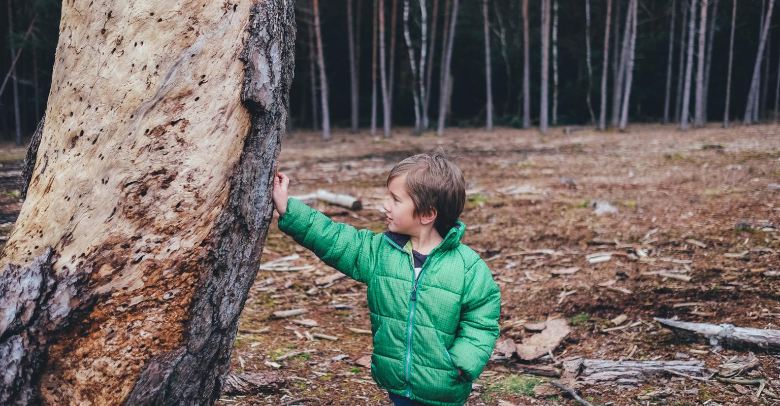 Child with tree