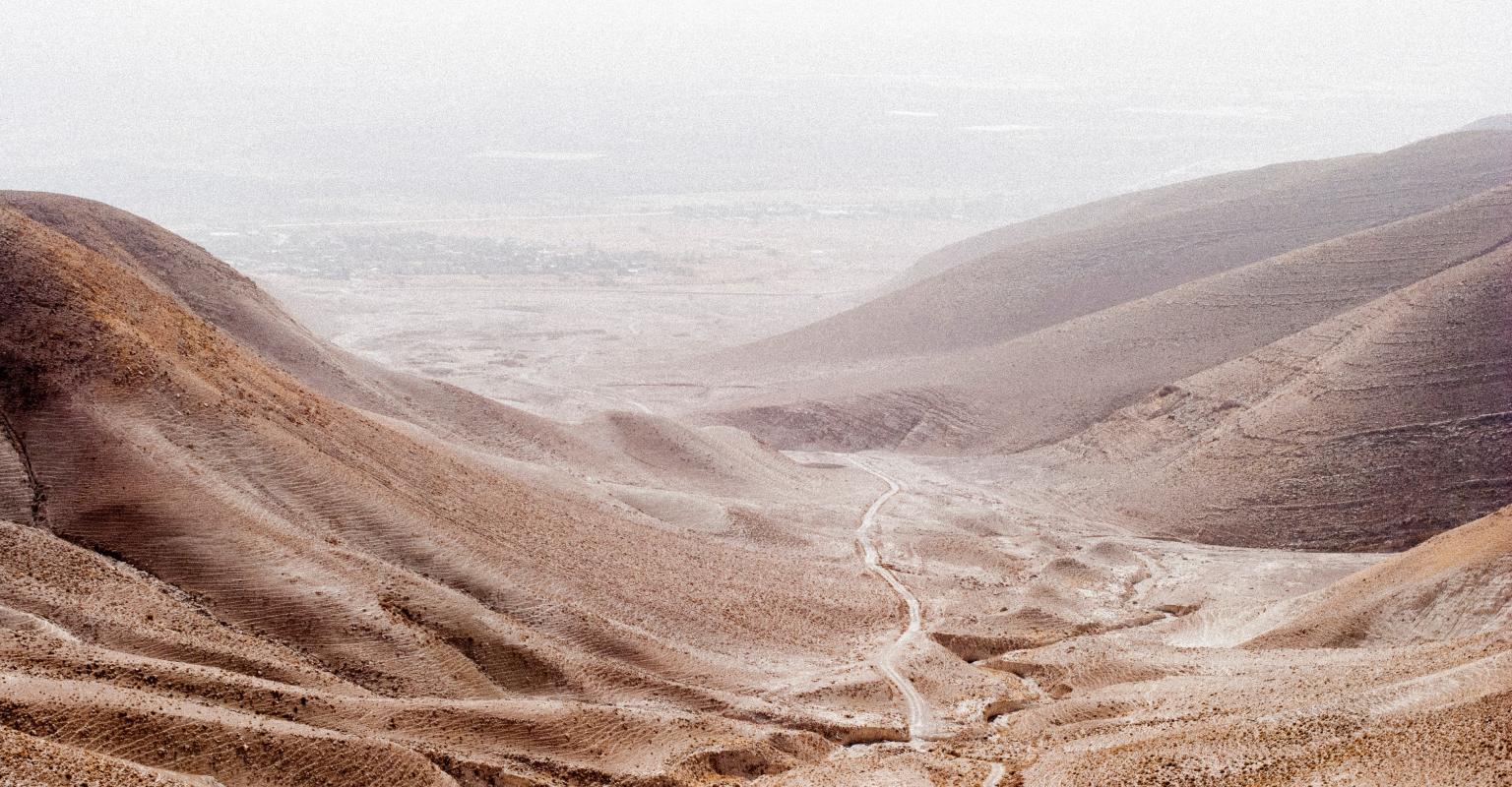 Israeli desert