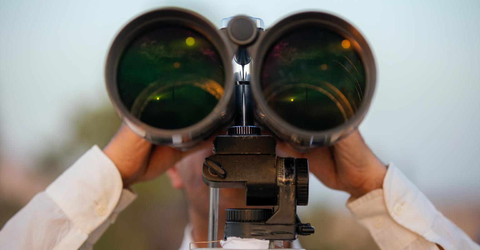 looking ahead