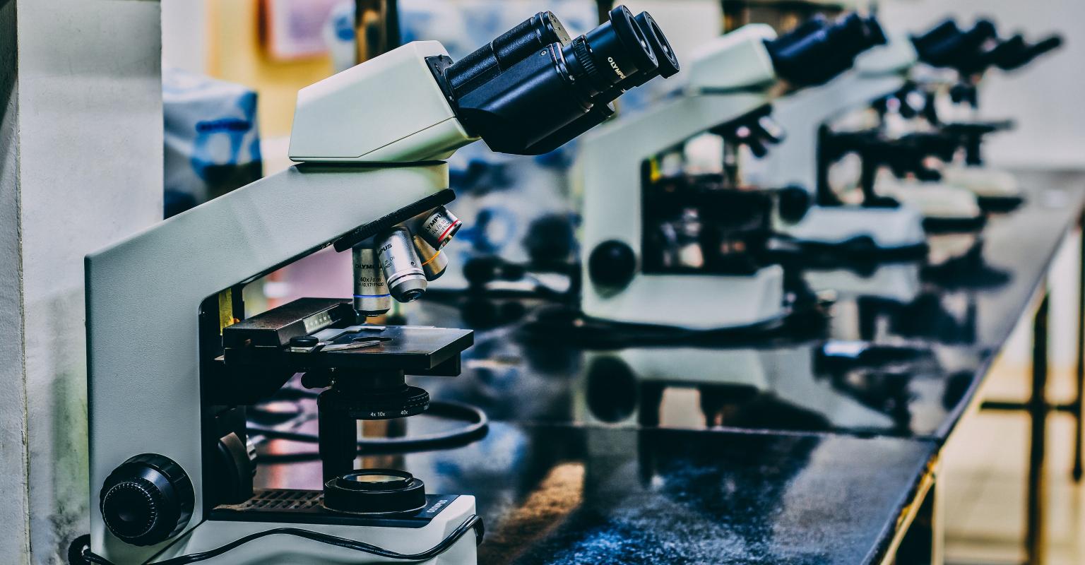 A row of scientific microscopes