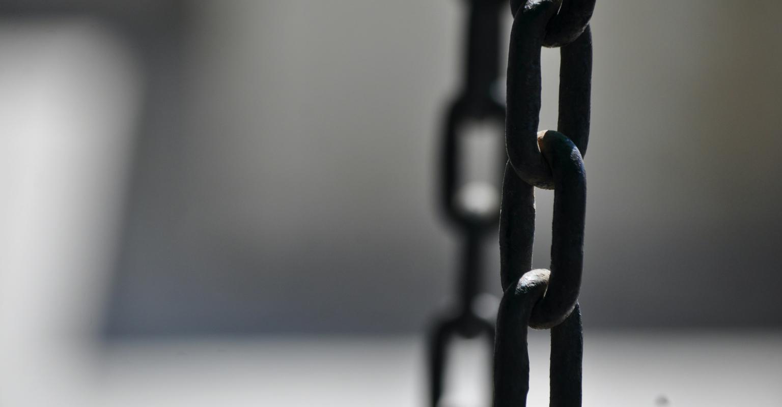 Chain link