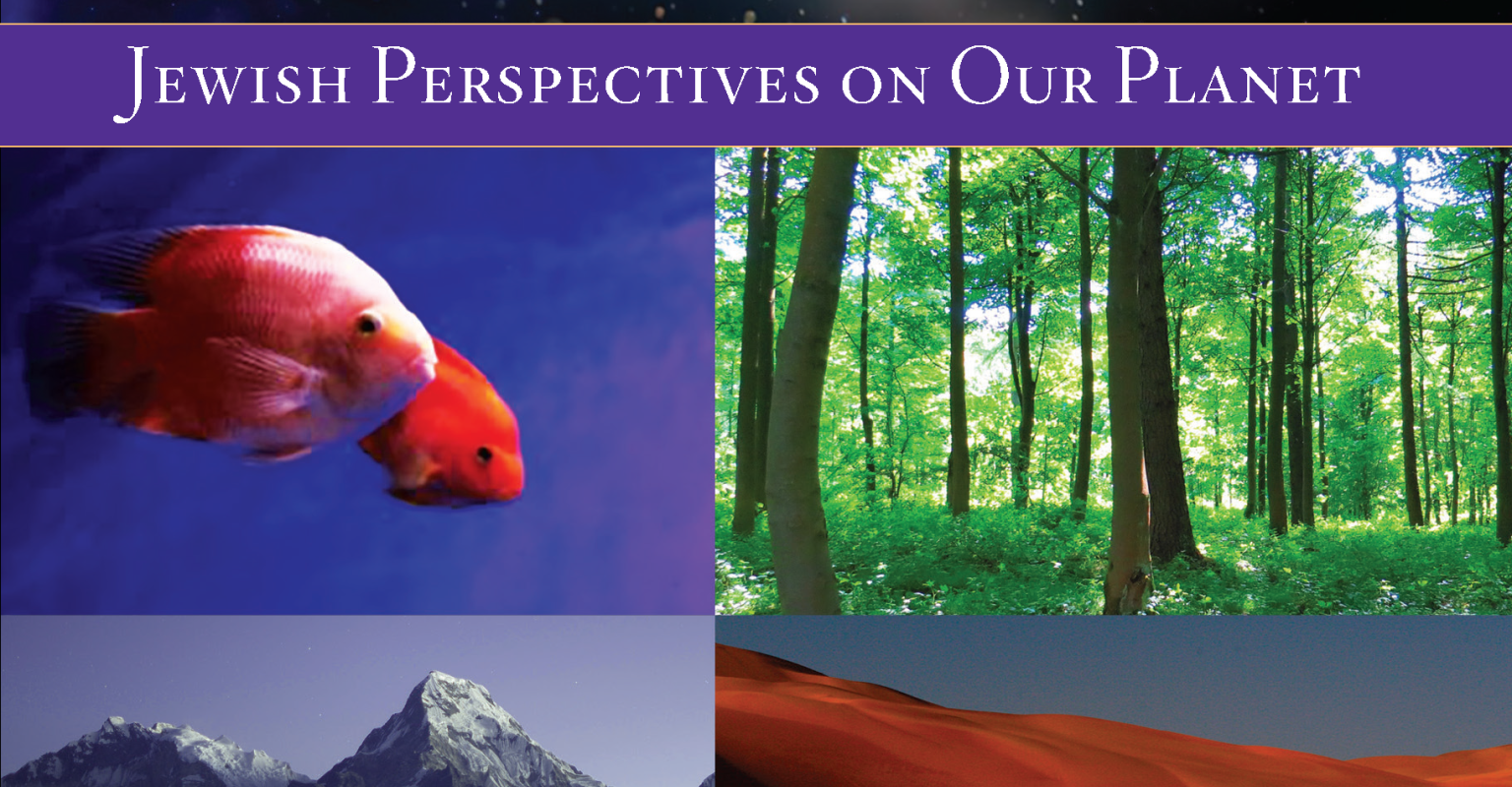 The cover image of the book 'The Sacred Earth: Jewish Perspectives on Our Planet.' The title appears over an image of a galaxy. Four other images are also shown. The top left shows an image of several fish. The top right shows trees in the forest. The bottom left shows a mountain range. The bottom right shows desert sand dunes.