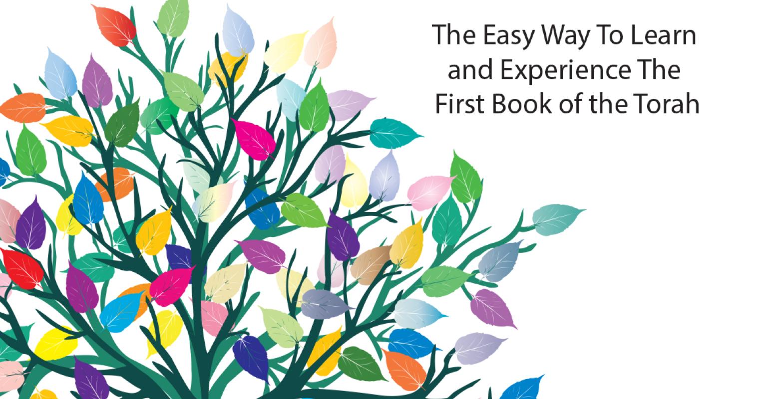 Book - Tiptoe Through Genesis