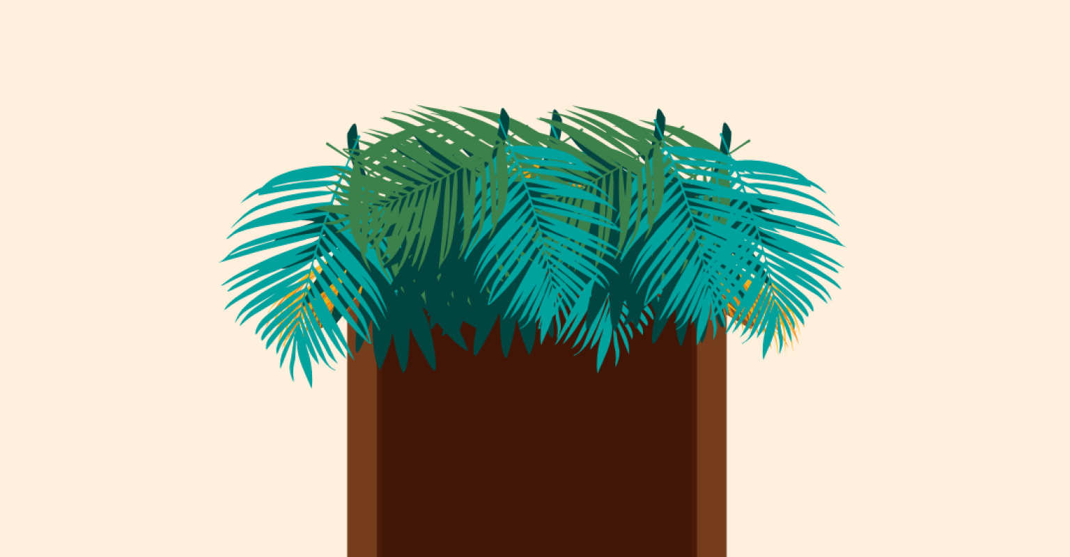 sukkah