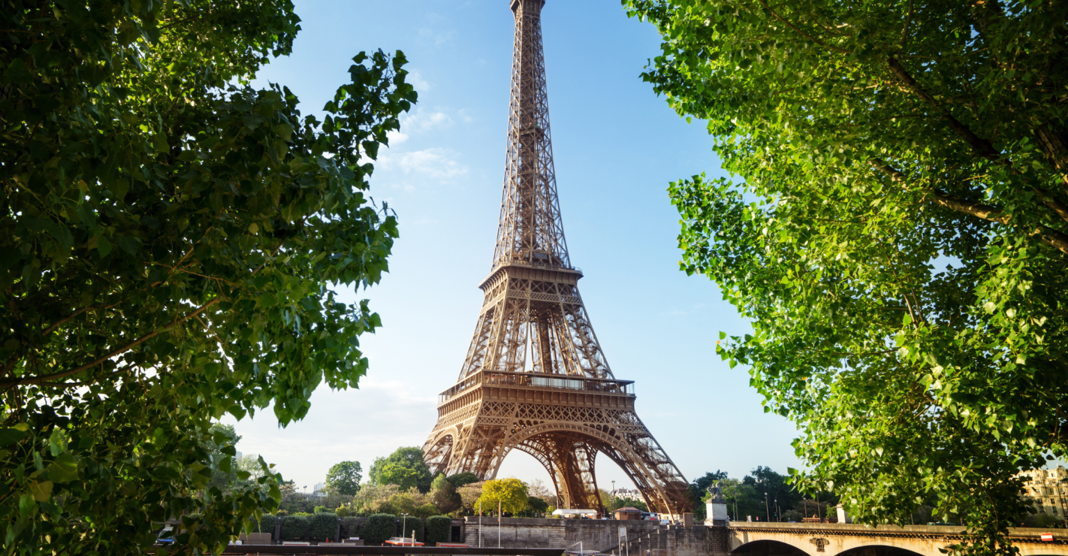 A view of the Eiffel Tower in between two trees