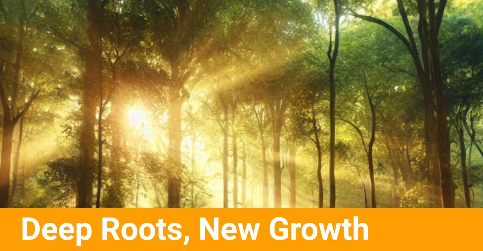 Deep Roots, New Growth