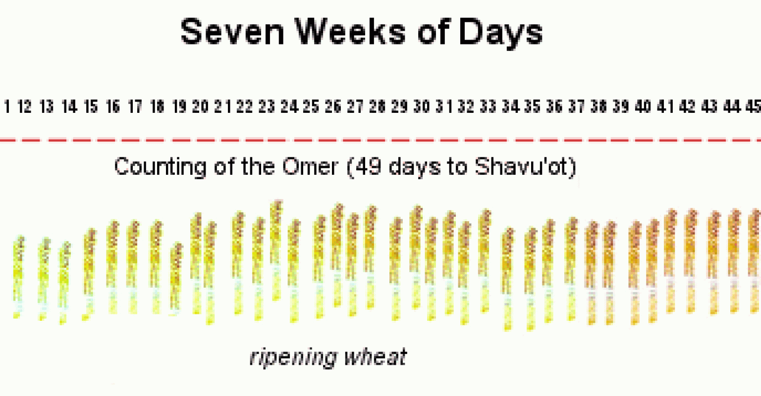 Seven Weeks of Seven Days