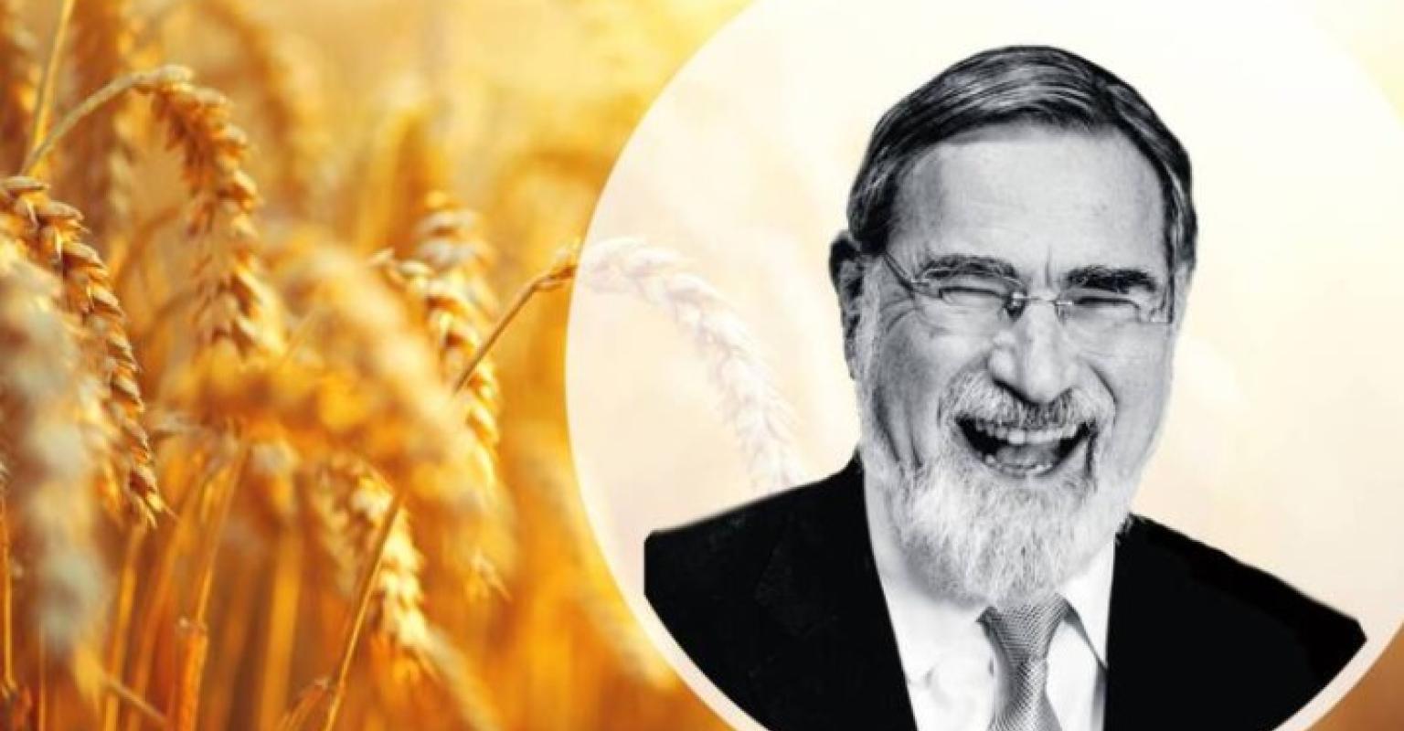 Rabbi Sacks: Shavuot