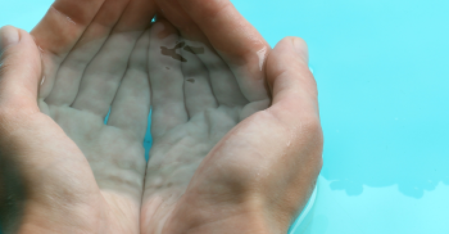 Cupped hands are placed in water to make a filled bowl.